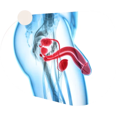 Manboa Capsules Benefits